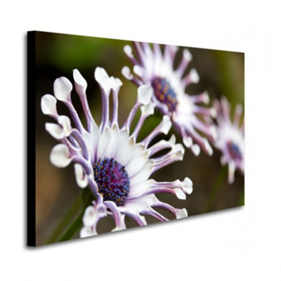 Печать на холсте Заказать в Могилеве