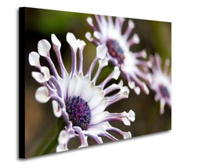 Печать на холсте