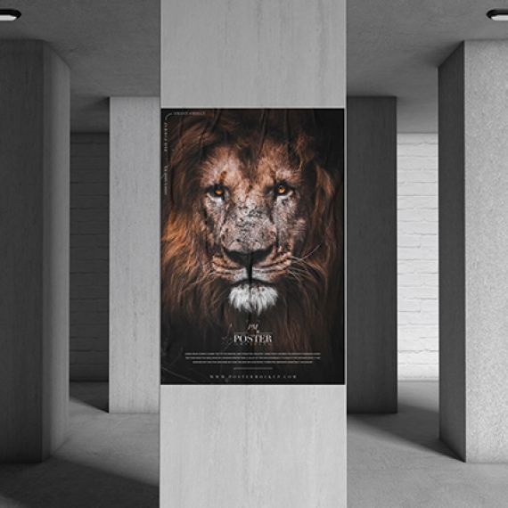 Афиши Заказать в Могилеве